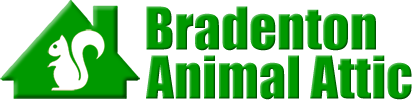 Bradenton Animal Attic
